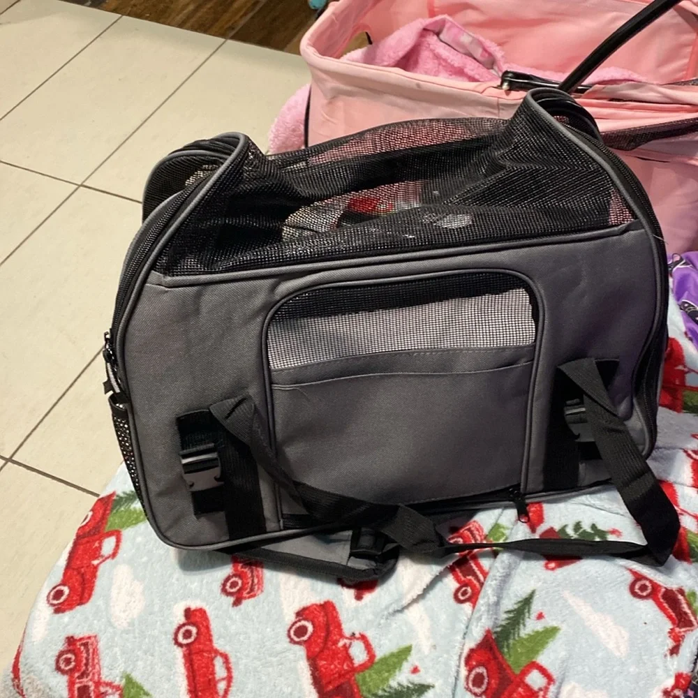Cat carrier never been used.